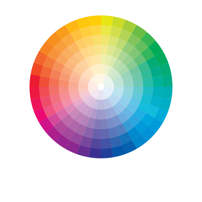 Light Pantone Matched Shells Light Pantone Matched Shells